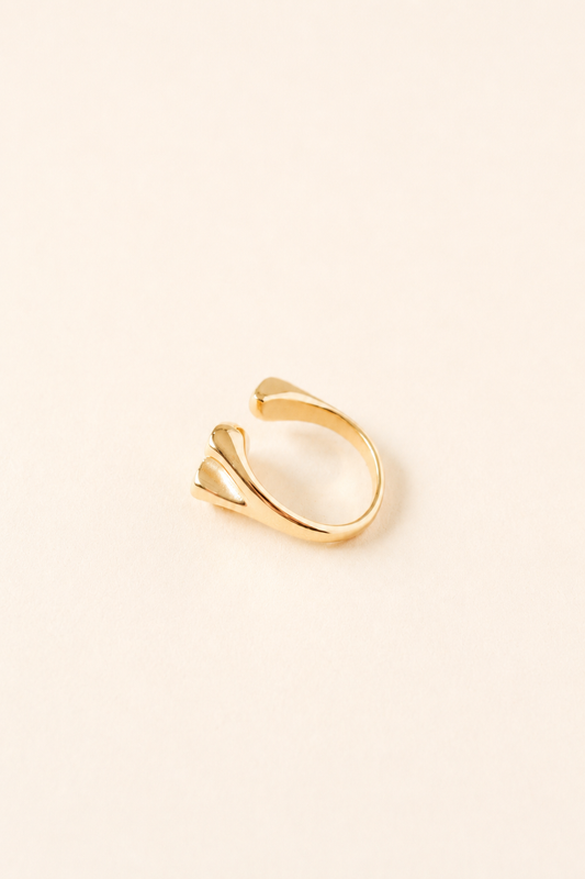 Double Heart Adjustable Ring