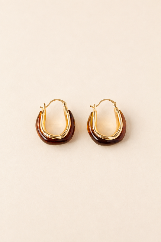 Brown Hoop Earrings