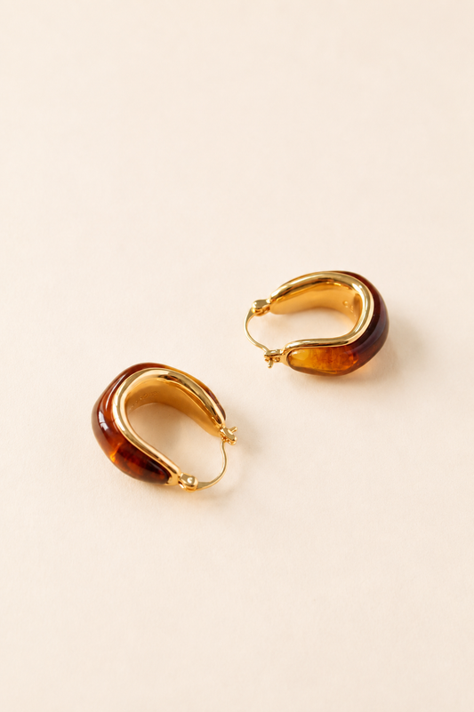 Brown Hoop Earrings